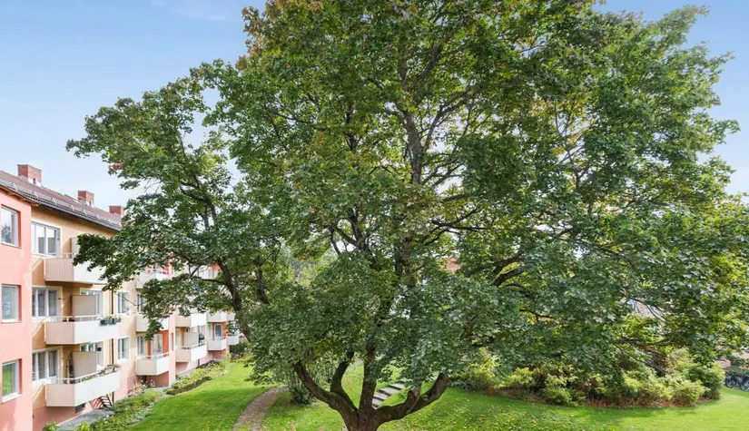 Bostadsrätt, Viktoriagatan 6B, Luthagen, Uppsala