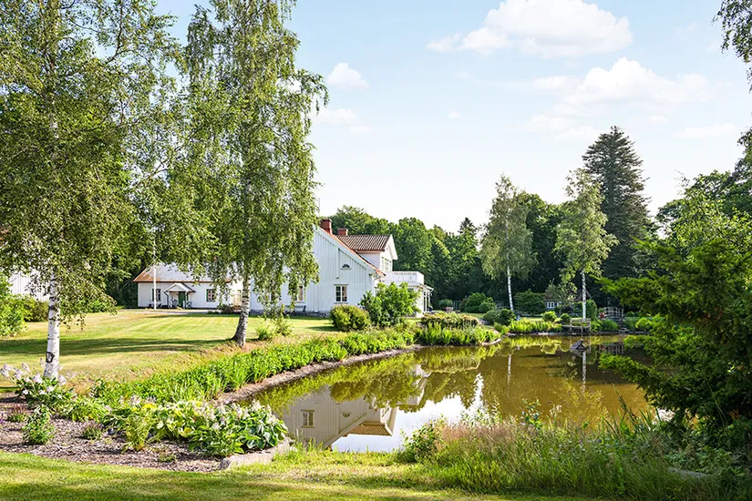 Gård/Skog, Essunga Tumlebergs egendom 401, Tumleberg, Essunga