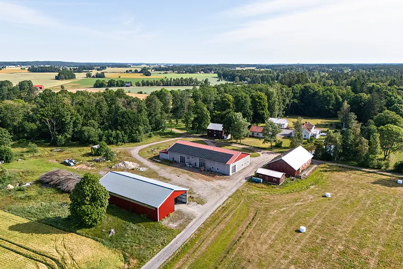 Gård/Skog, Essunga Tumlebergs egendom 401, Tumleberg, Essunga