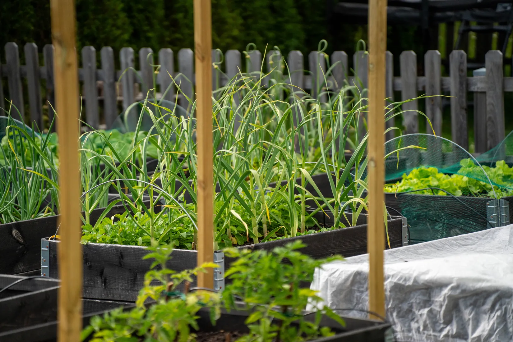 Villa, Radhus, Tallholmsvägen 91, Linköping