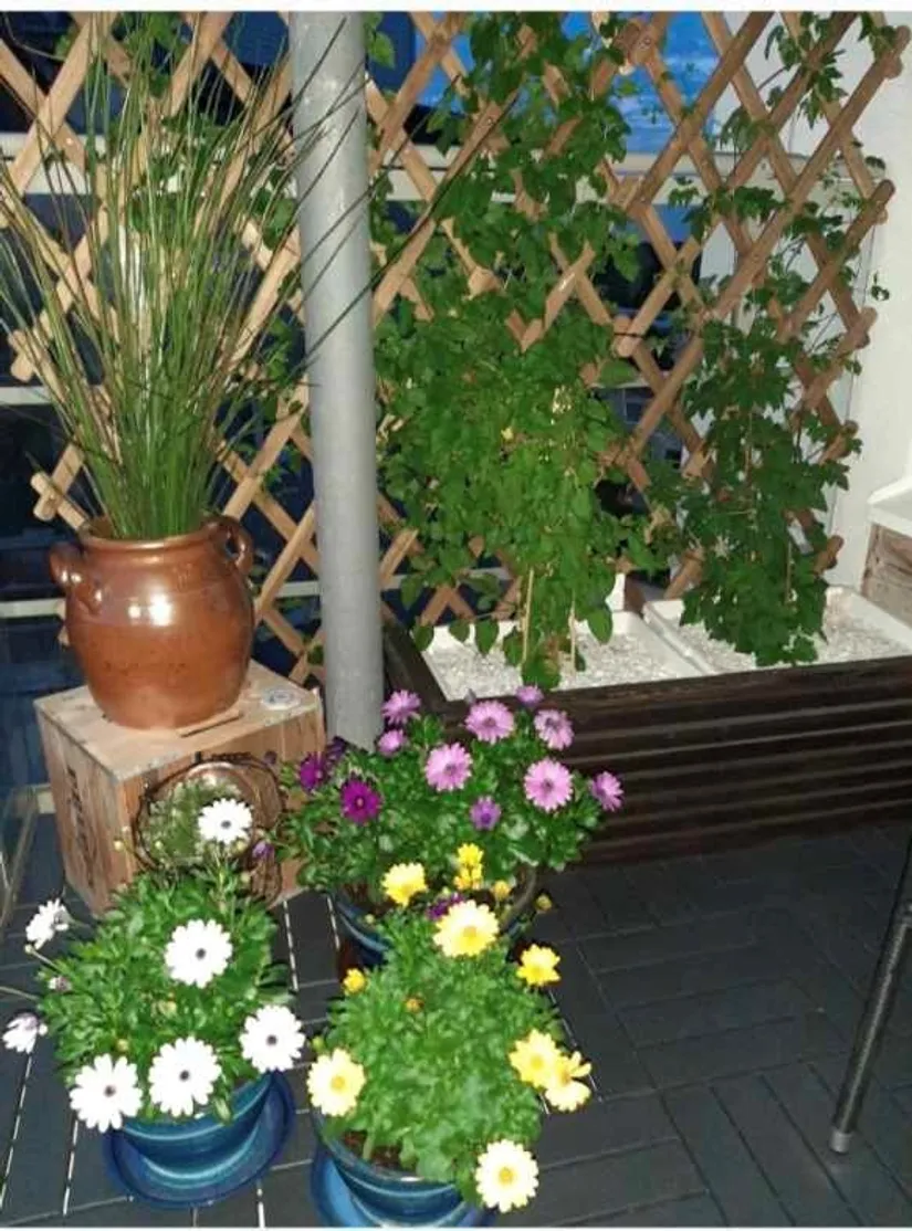 Bostadsrätt, Enbärsvägen 1, 5 tr, Tibble, Upplands-Bro