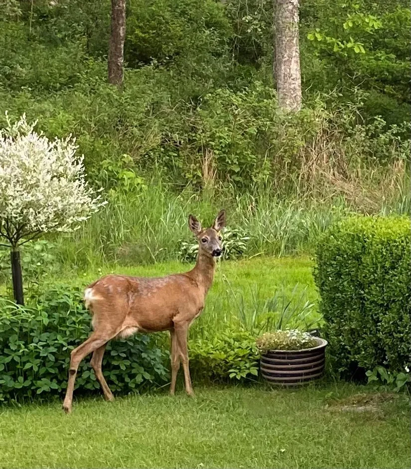 Radhus, Ådäljan 20, Södra Sävedalen, Partille