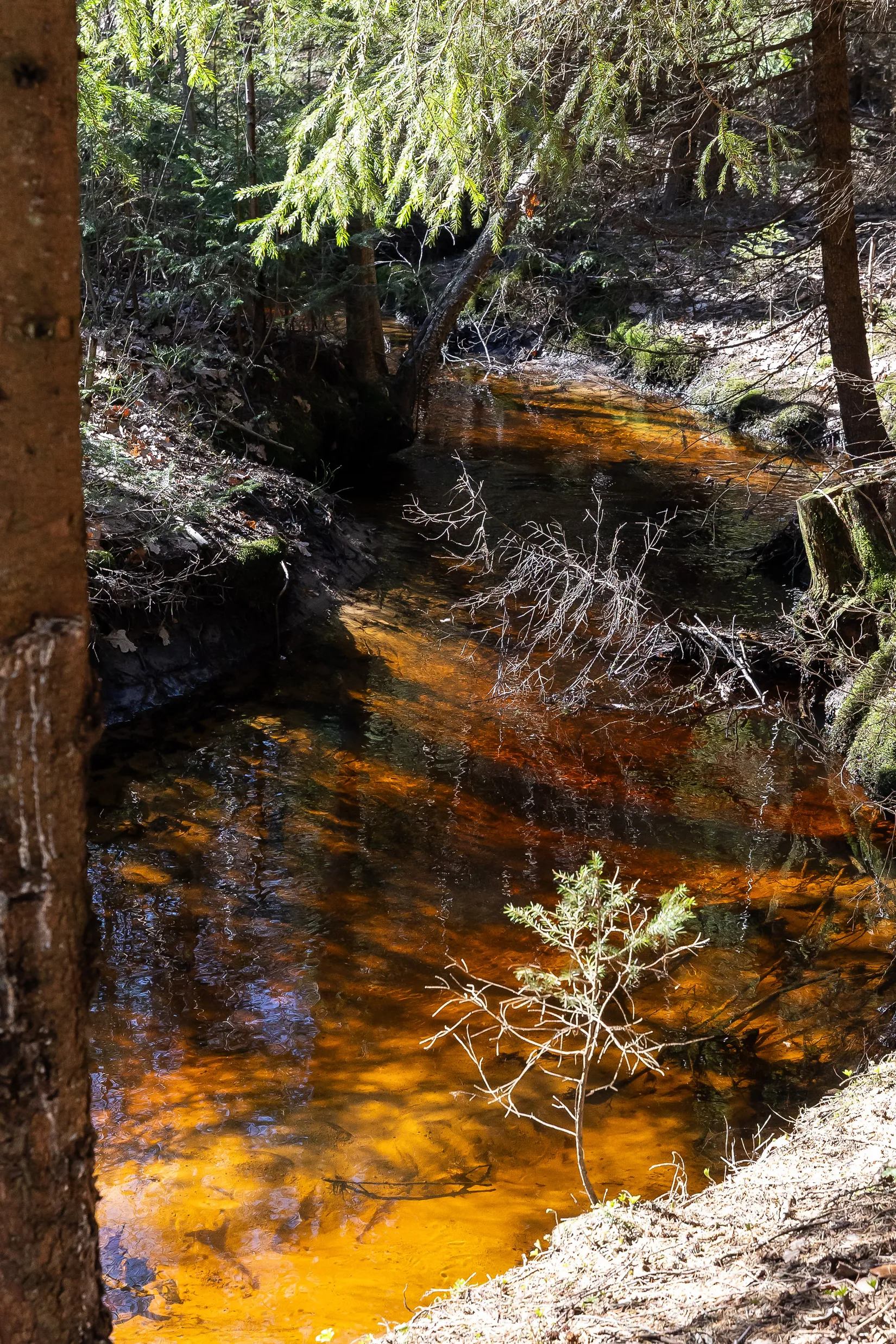 Villa, Filipshyttan 709, Filipshyttan, Örebro