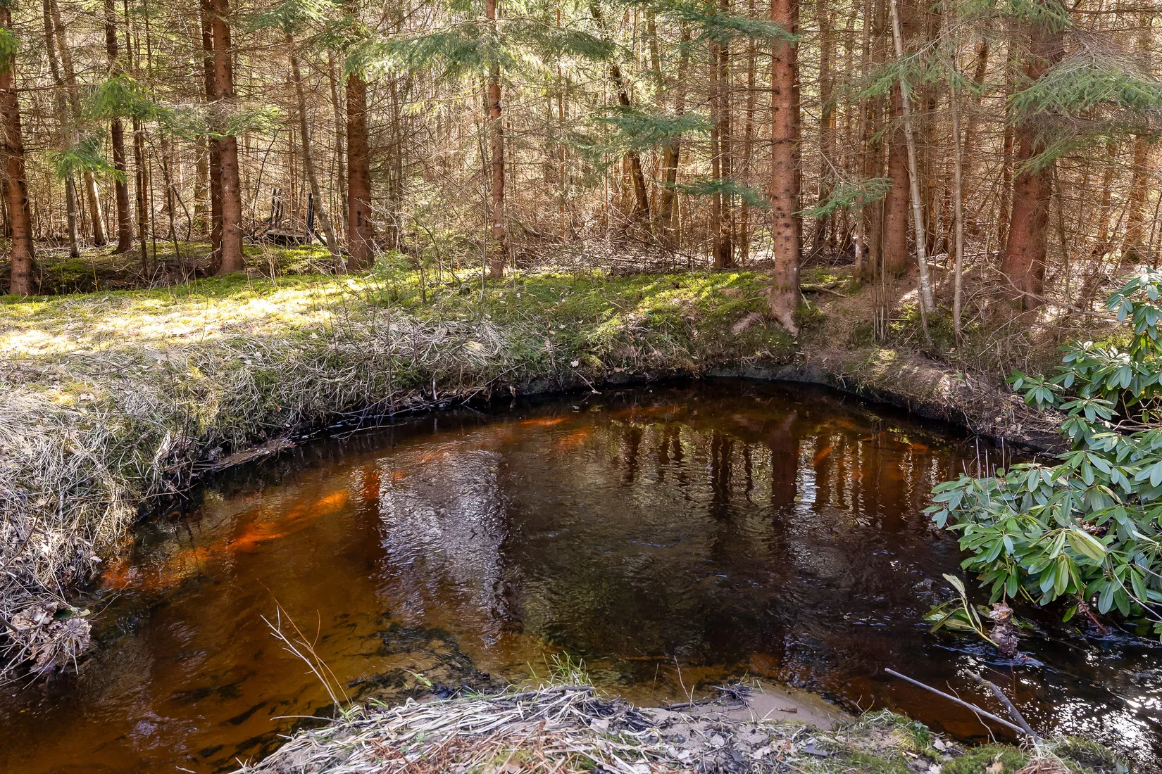 Villa, Filipshyttan 709, Filipshyttan, Örebro