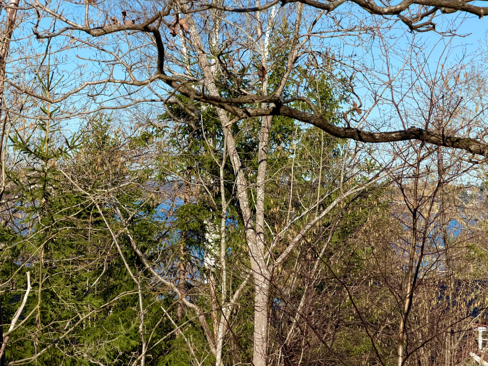 Villa, Utsiktsvägen 24, Resarö, Vaxholm