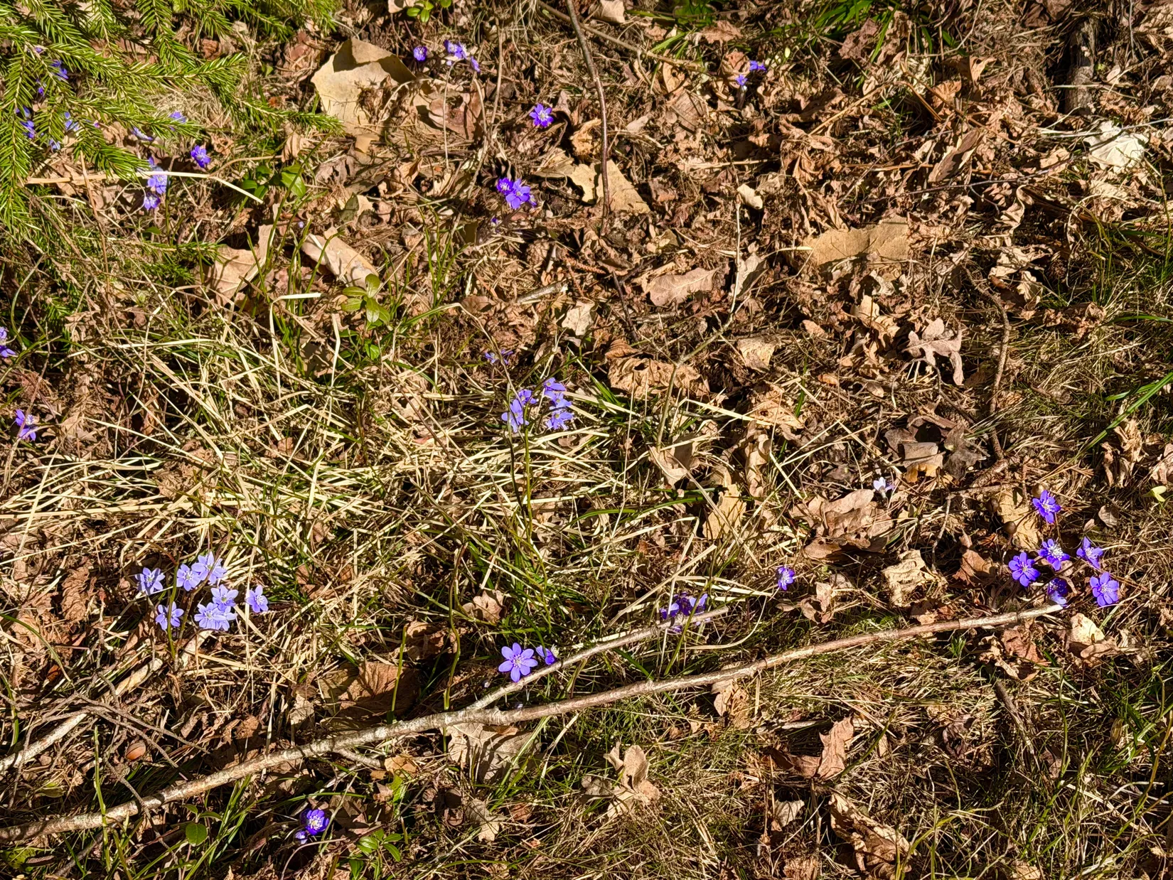 Villa, Utsiktsvägen 24, Resarö, Vaxholm