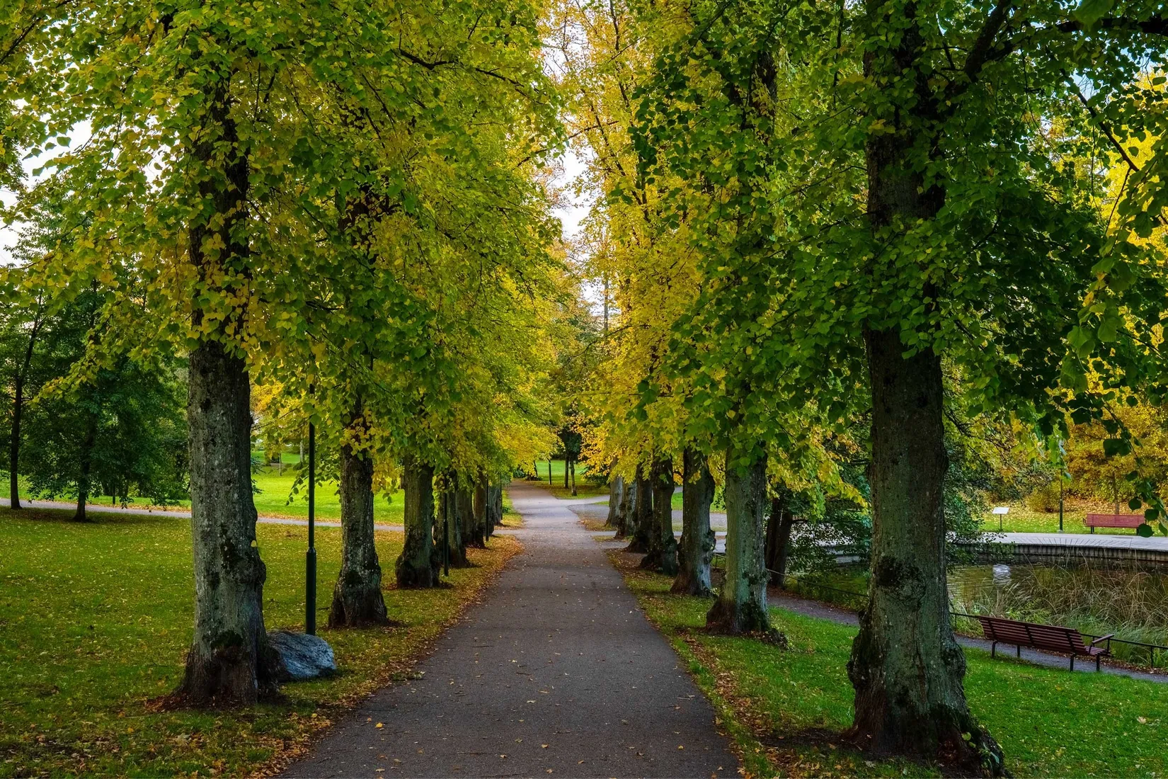 Bostadsrätt, Blågransvägen 6, Långbro Park, Stockholm