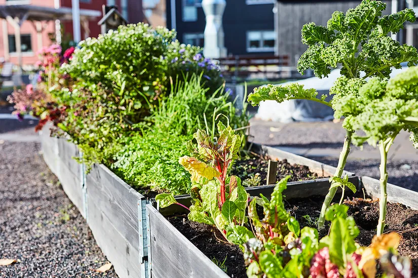 Bostadsrätt, Tellusgatan 4A, Kungsängen, Jönköping