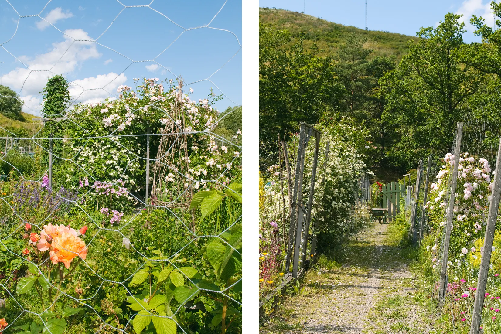 Bostadsrätt, Nathorstvägen 19, Stockholm