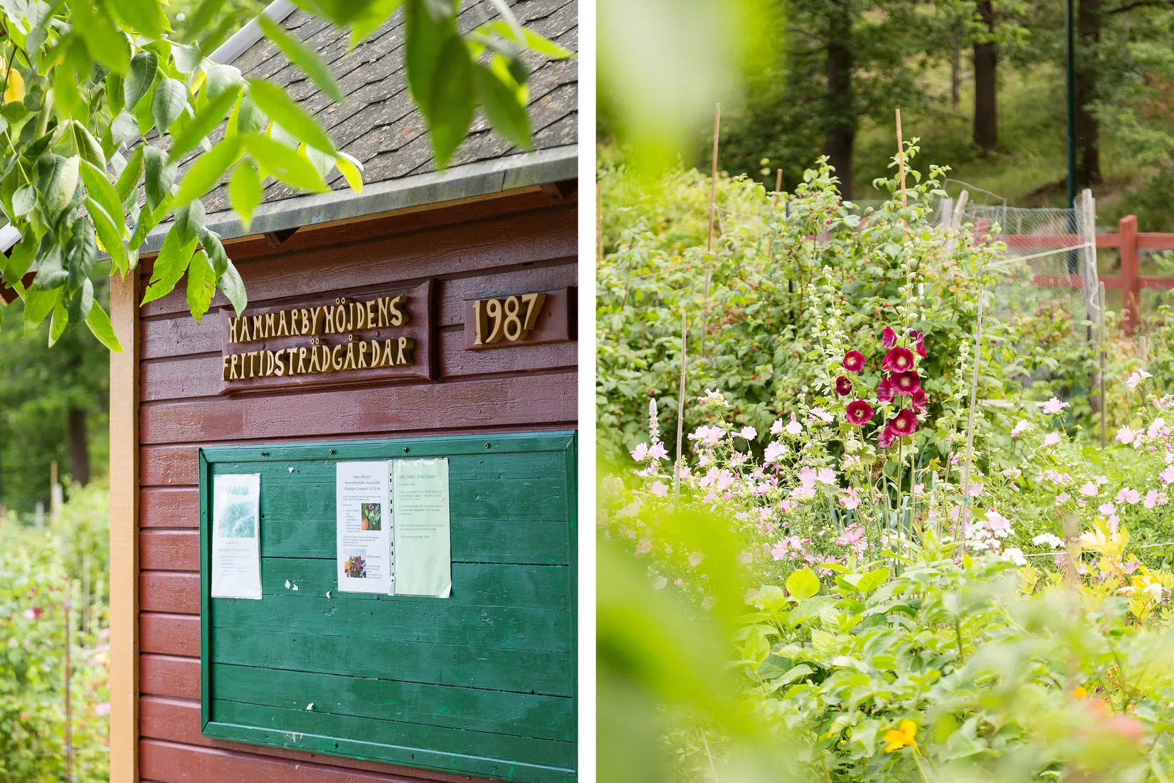 Bostadsrätt, Nathorstvägen 19, Stockholm