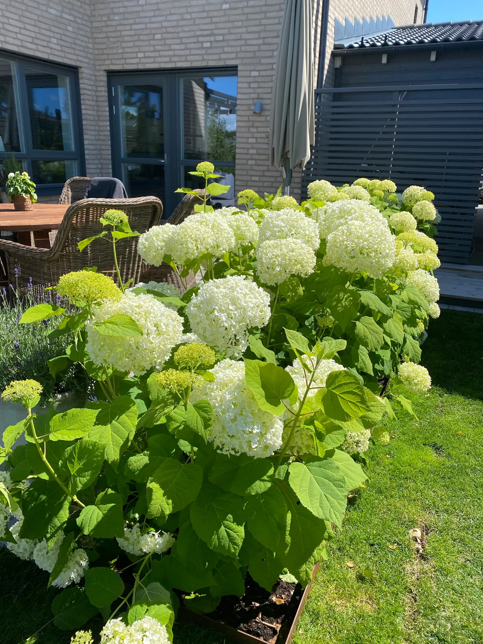 Villa, Annavägen 15, Havsbaden, Ängelholm