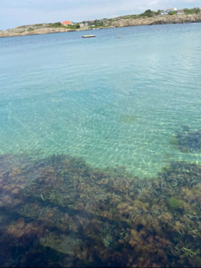 Villa, Vallda Parkstig 20, Vallda Park, Kungsbacka