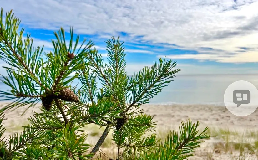 Villa, Gamla Byvägen 47, Yngsjö, Kristianstad