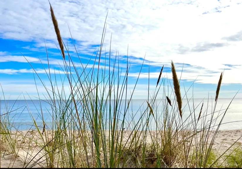 Villa, Gamla Byvägen 47, Yngsjö, Kristianstad