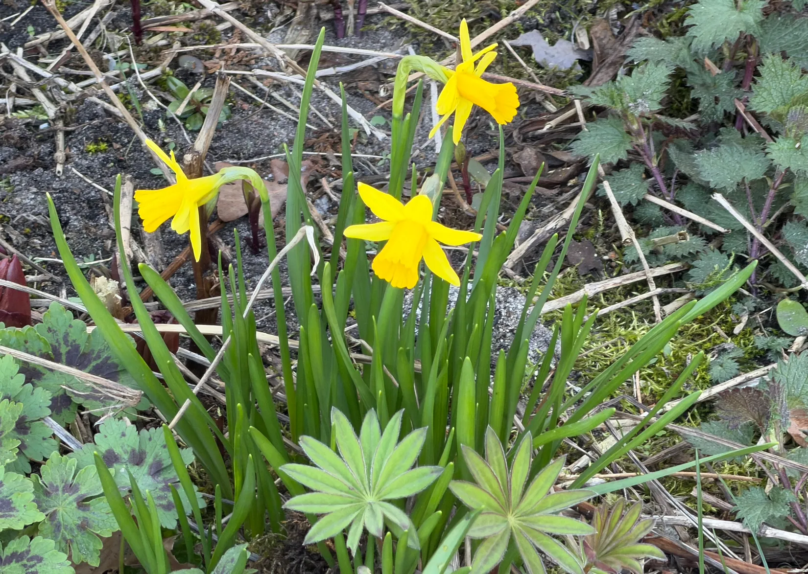 Villa, Gamla Byvägen 47, Yngsjö, Kristianstad