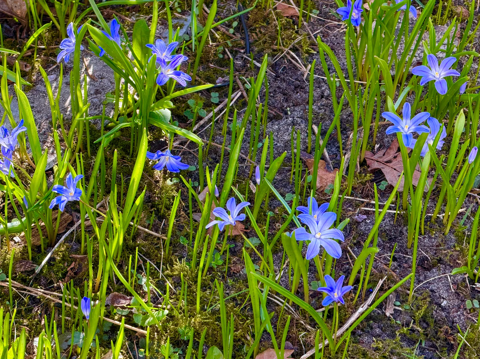 Villa, Gamla Byvägen 47, Yngsjö, Kristianstad