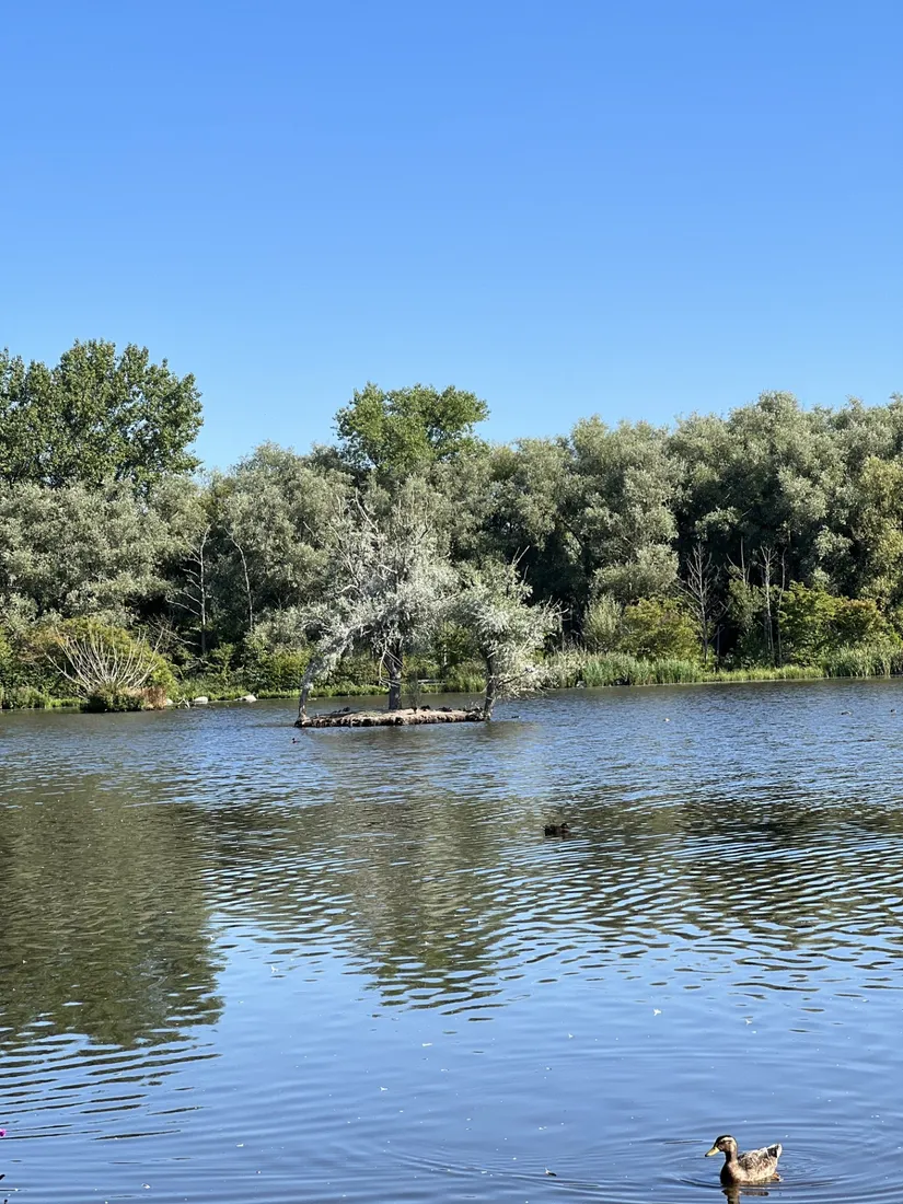 Villa, Tommarpsvägen 33, Väster, Trelleborg