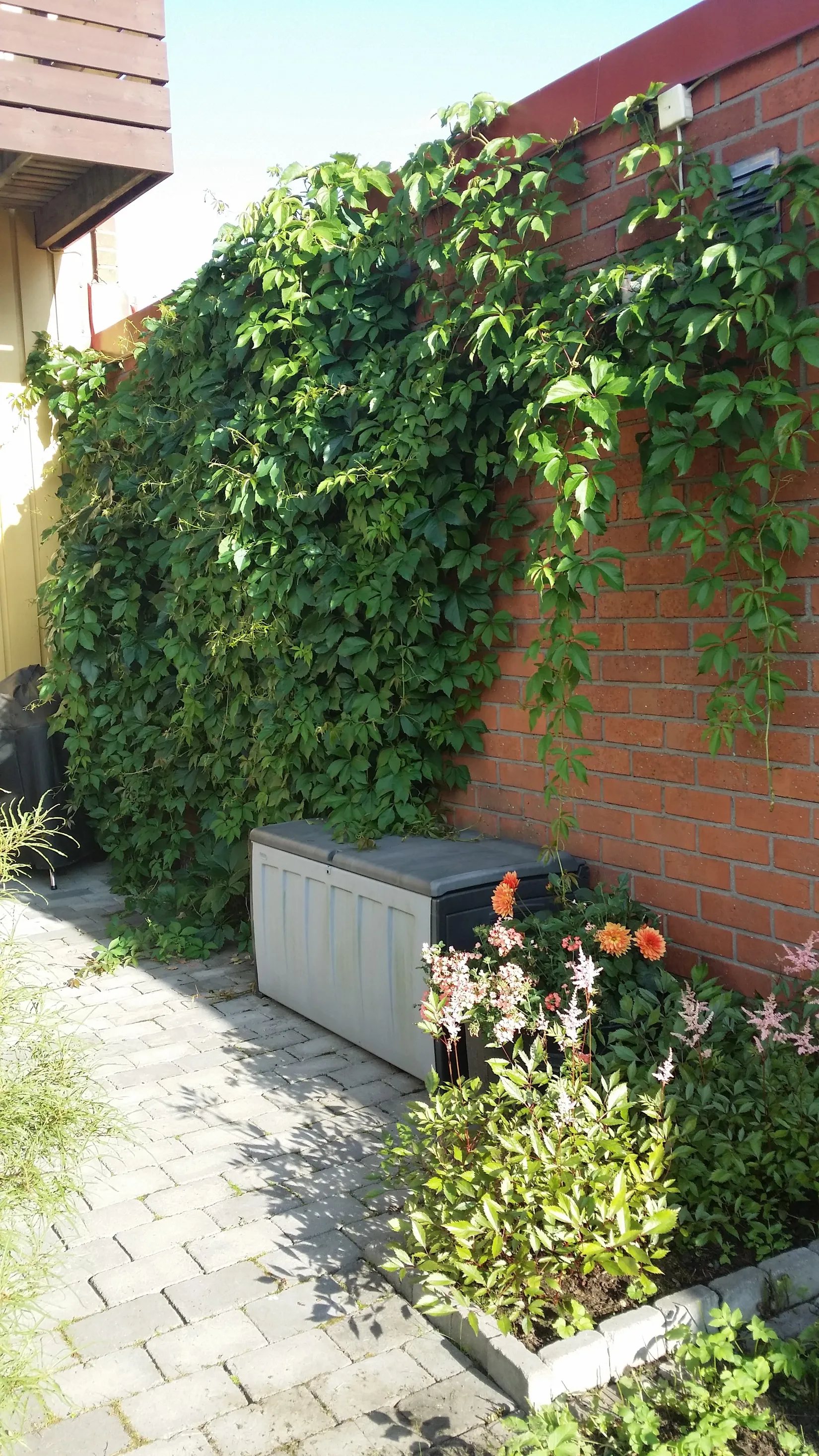 Villa, Radhus, Generalsgatan 9, Haga, Umeå