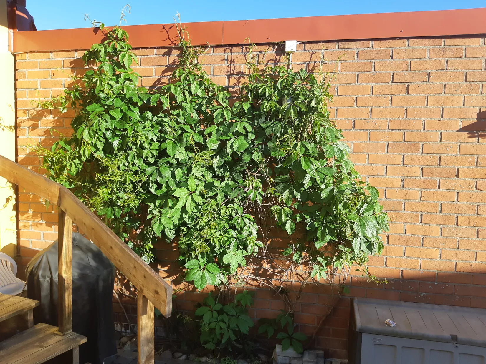 Villa, Radhus, Generalsgatan 9, Haga, Umeå