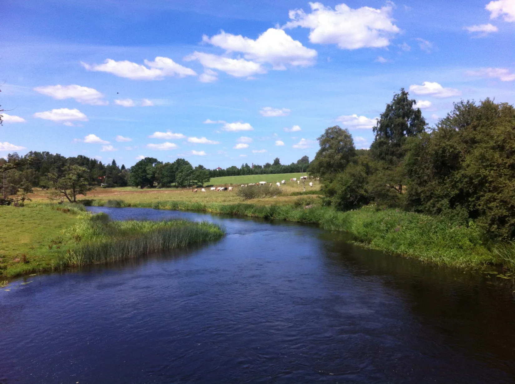 Villa, Riseberga 1488B, Riseberga, Klippan