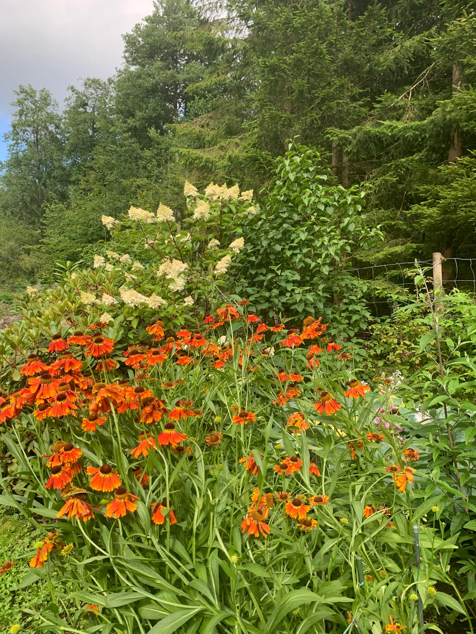 Villa, Riseberga 1488B, Riseberga, Klippan