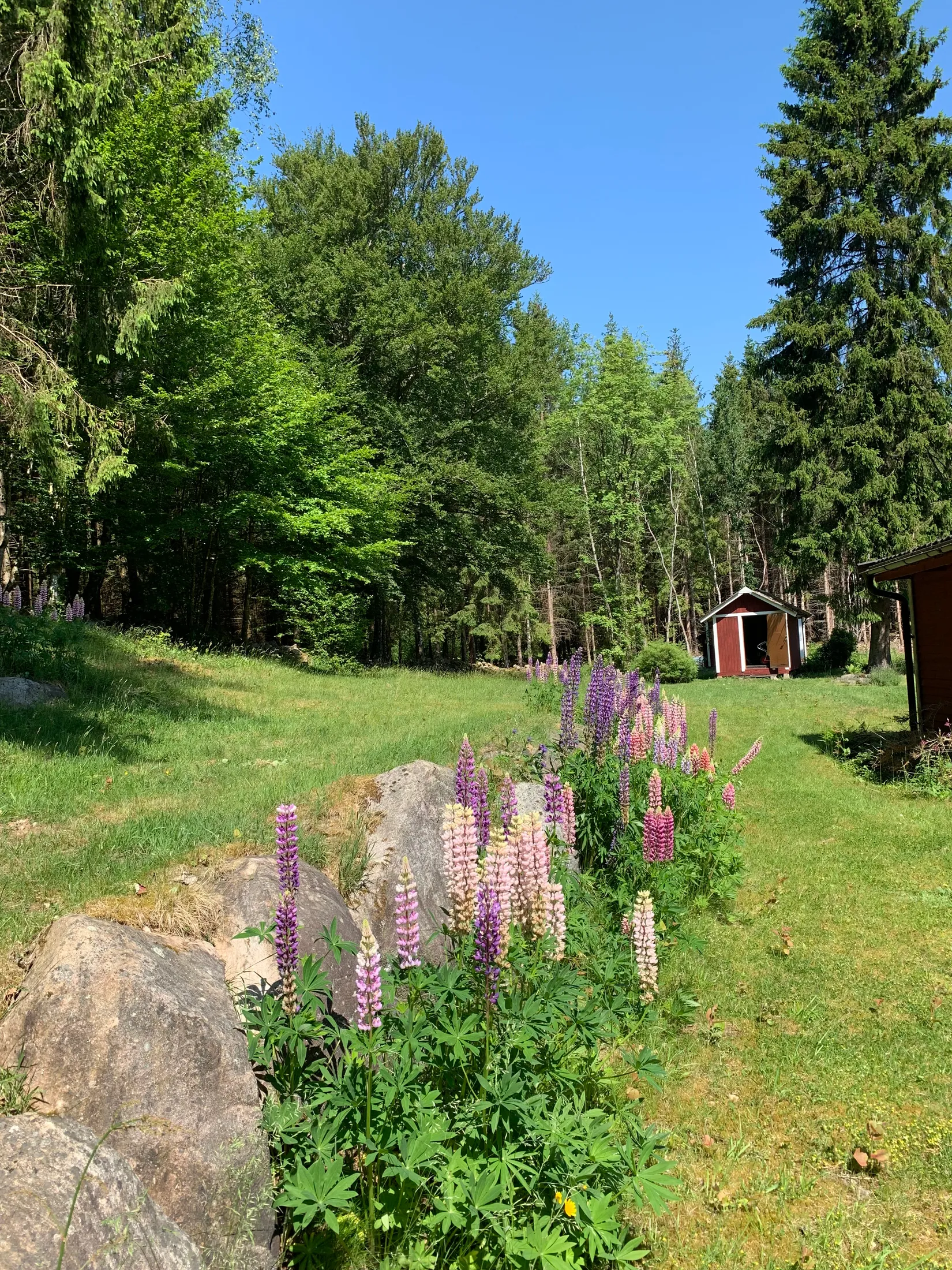 Villa, Riseberga 1488B, Riseberga, Klippan