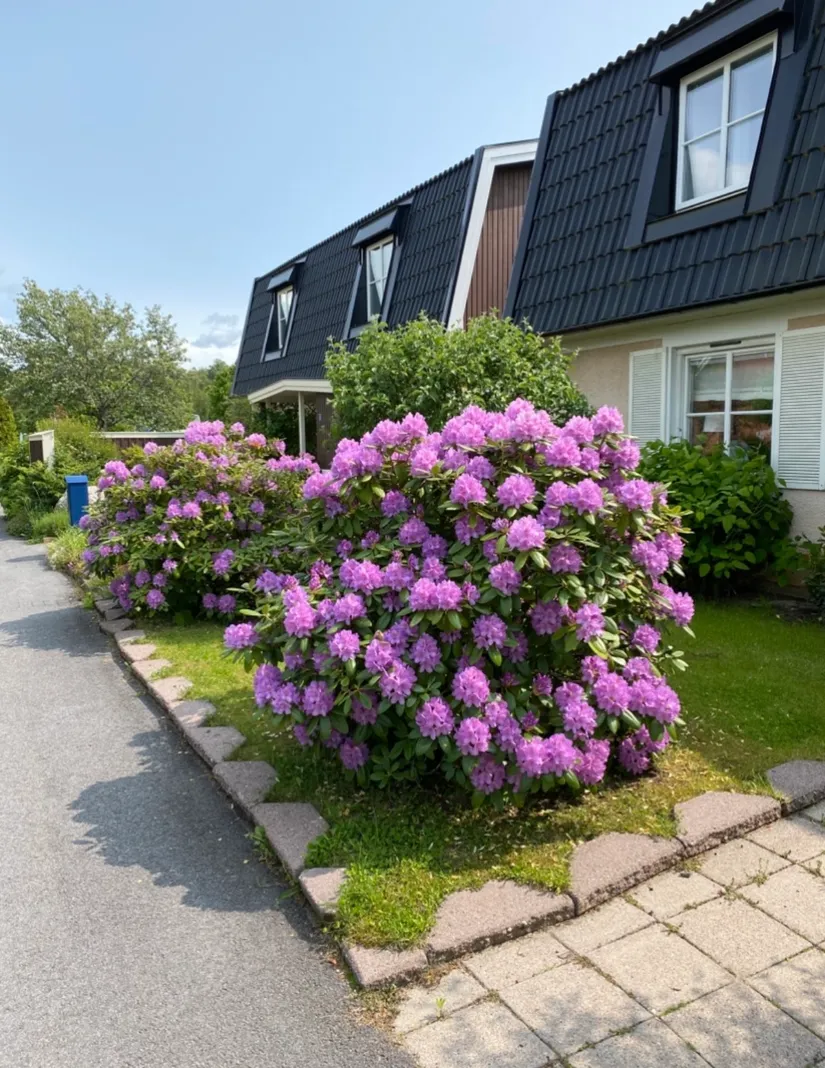 Villa, Radhus, Brevbäraregatan 11, Björkhaga, Örebro