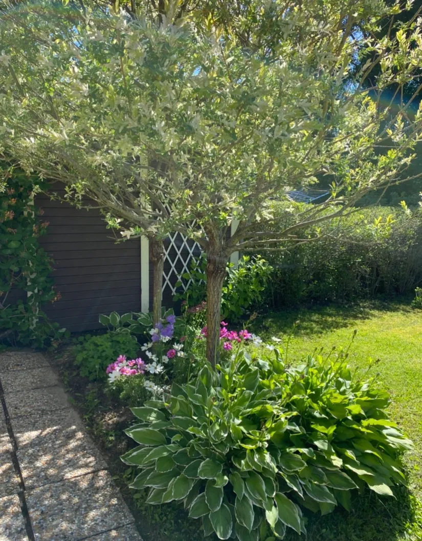 Villa, Radhus, Brevbäraregatan 11, Björkhaga, Örebro