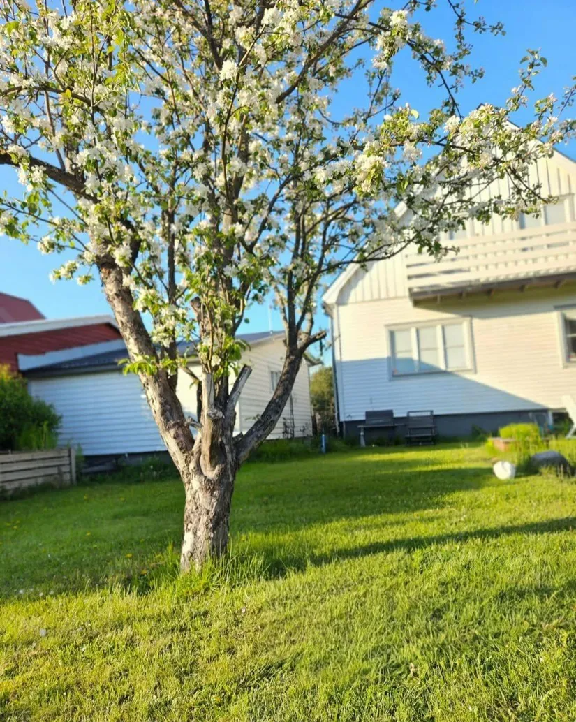 Villa, Klövervägen 40, Västerslätt, Umeå