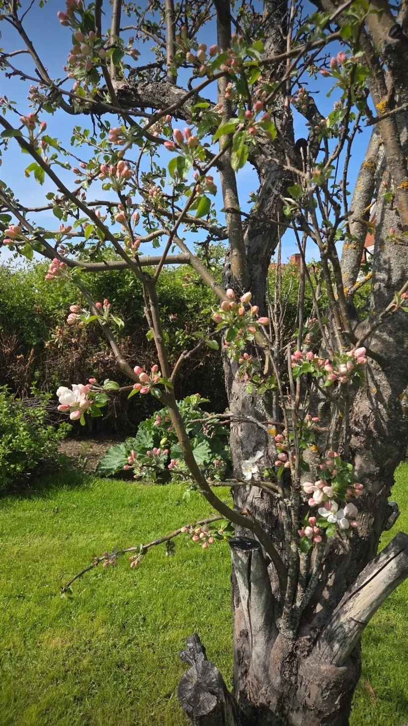 Villa, Klövervägen 40, Västerslätt, Umeå