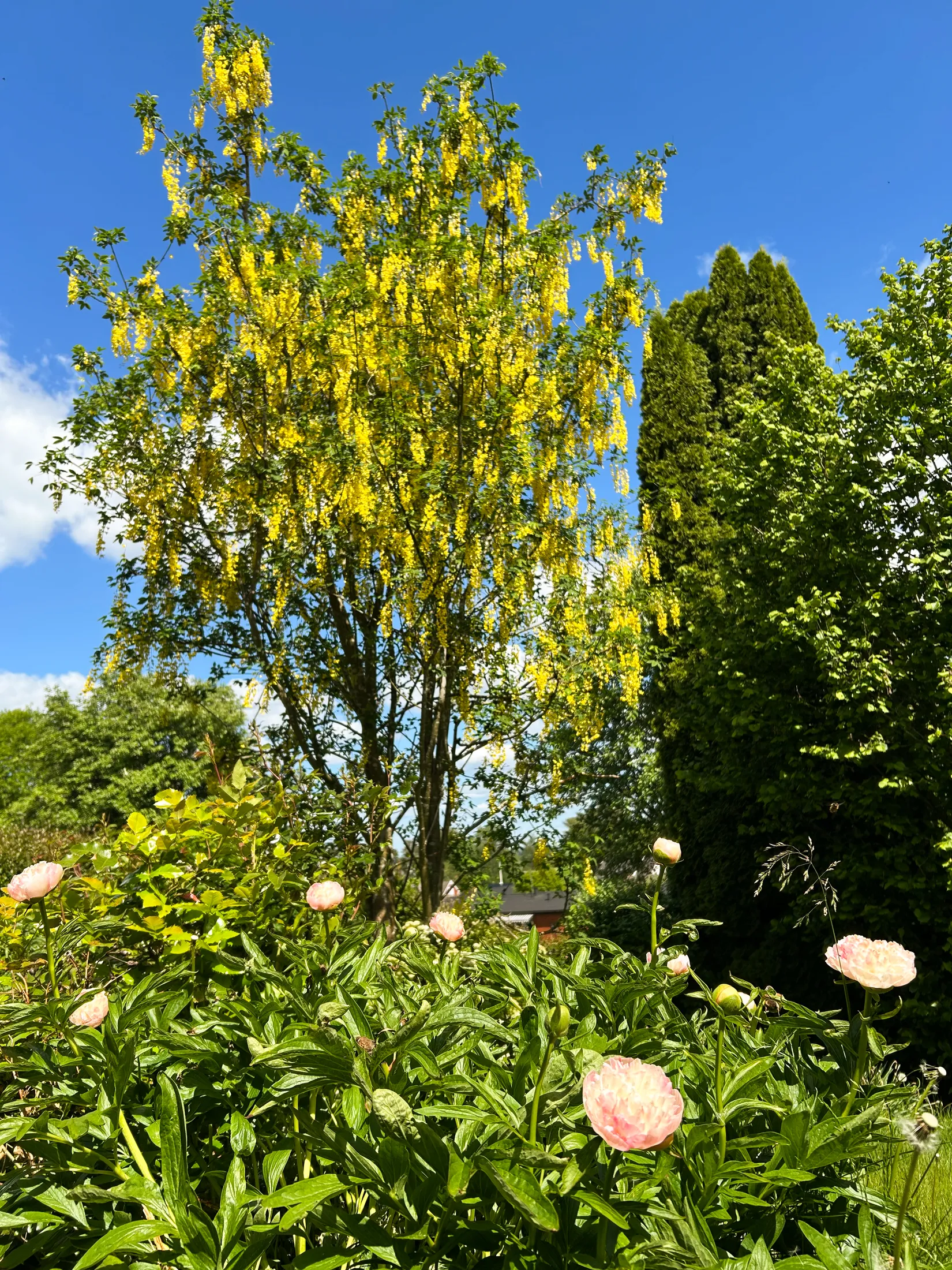 Villa, Mosslelundsgränd 13, Mossle, Värnamo