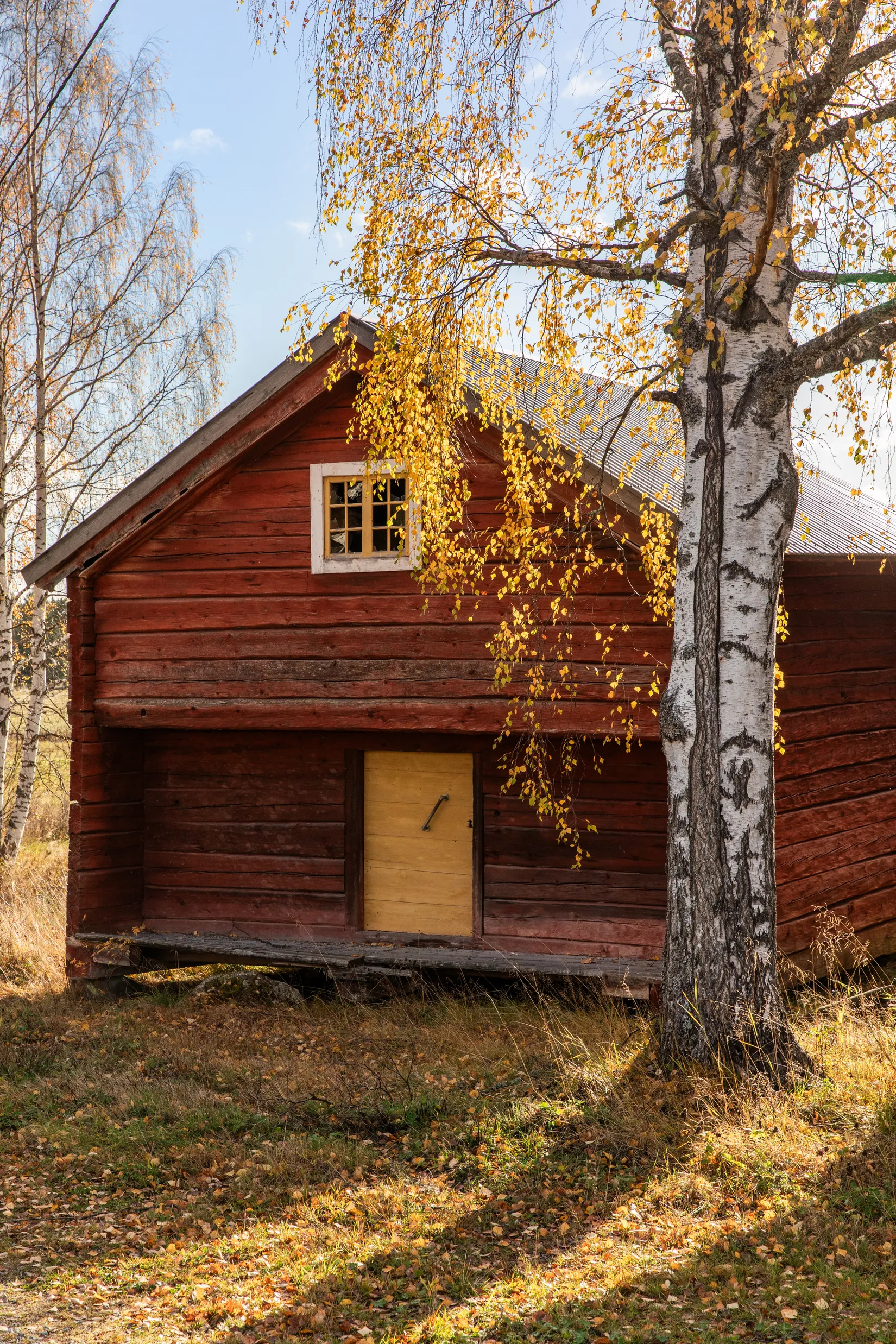 Gård/Skog, Säter 189, Säter, Ånge