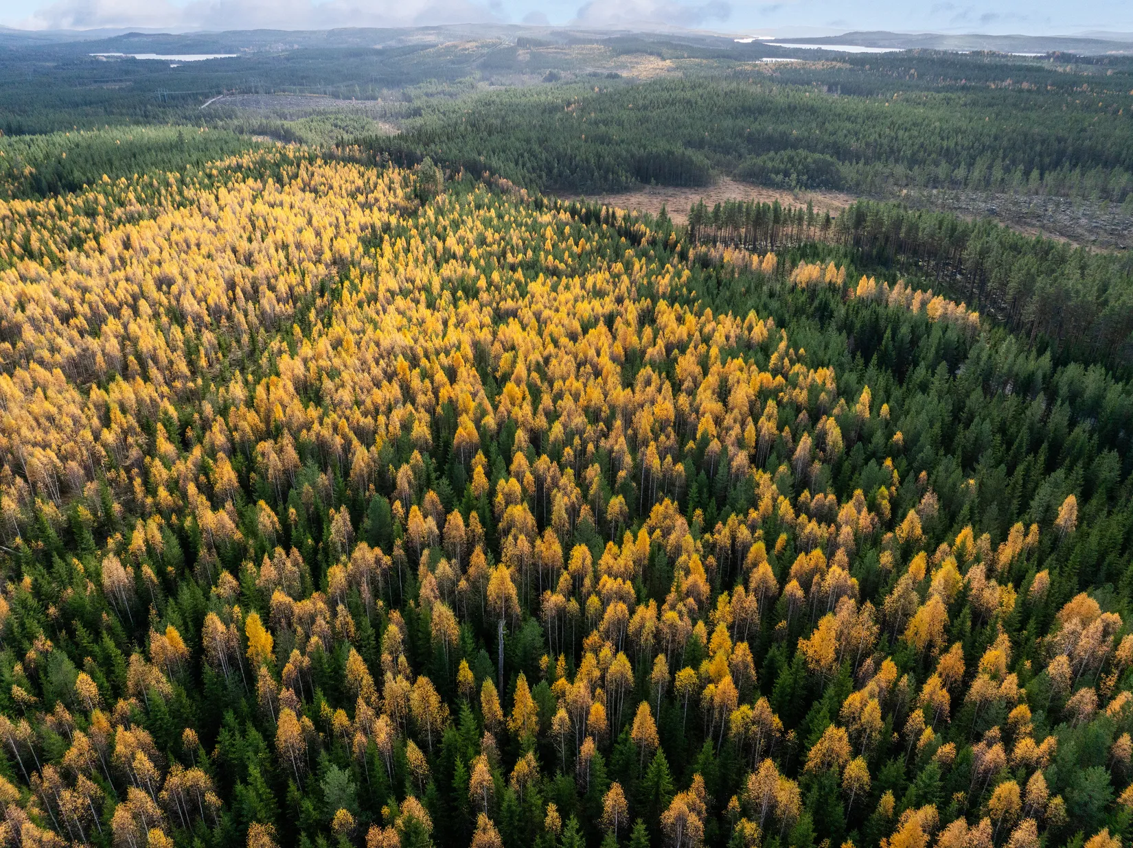 Gård/Skog, Säter 189, Säter, Ånge