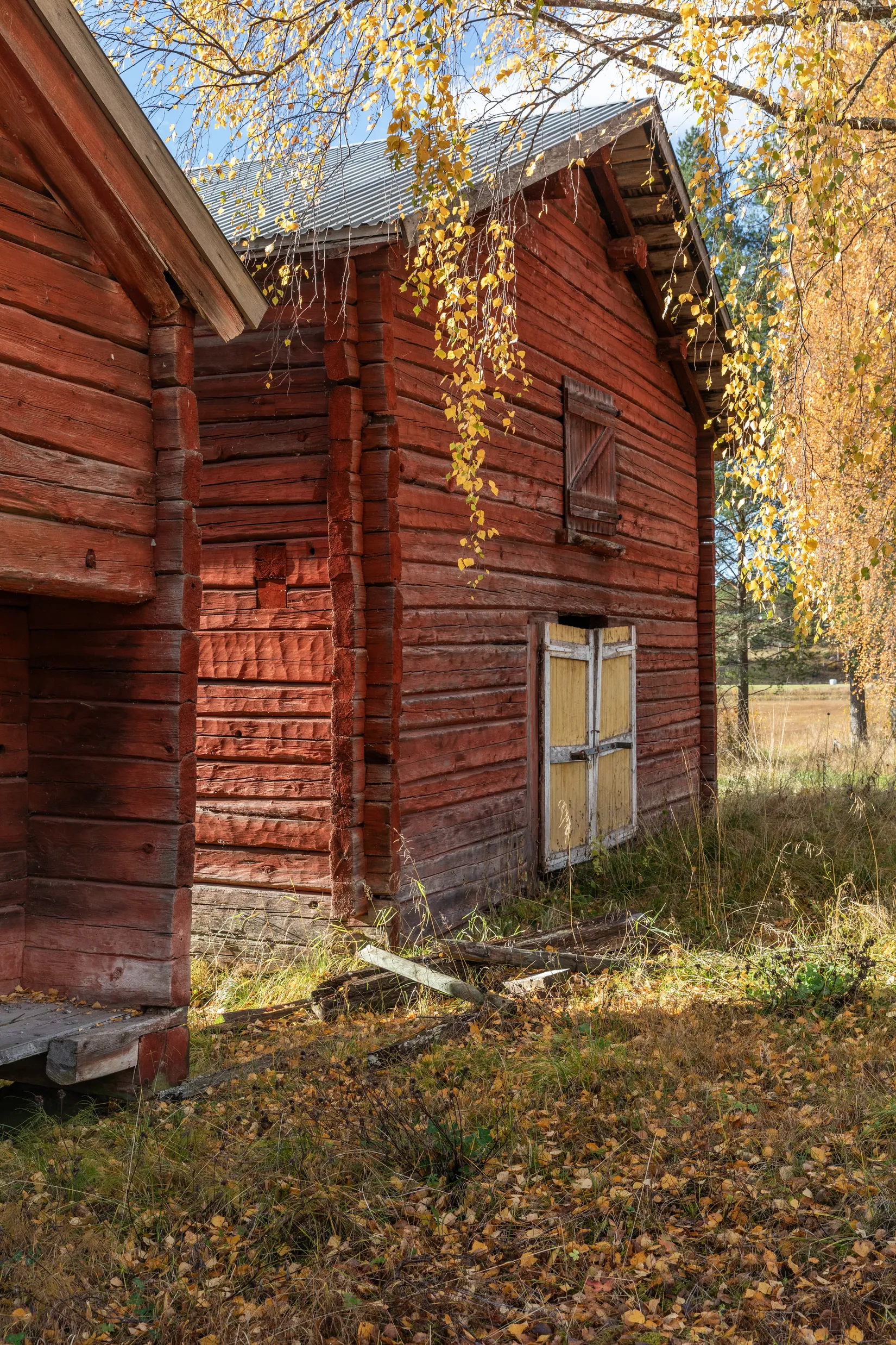 Gård/Skog, Säter 189, Säter, Ånge