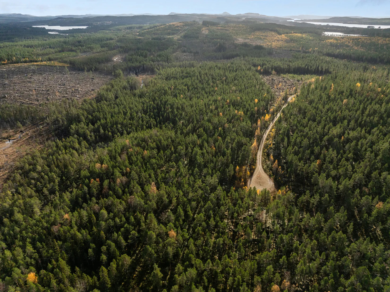 Gård/Skog, Säter 189, Säter, Ånge