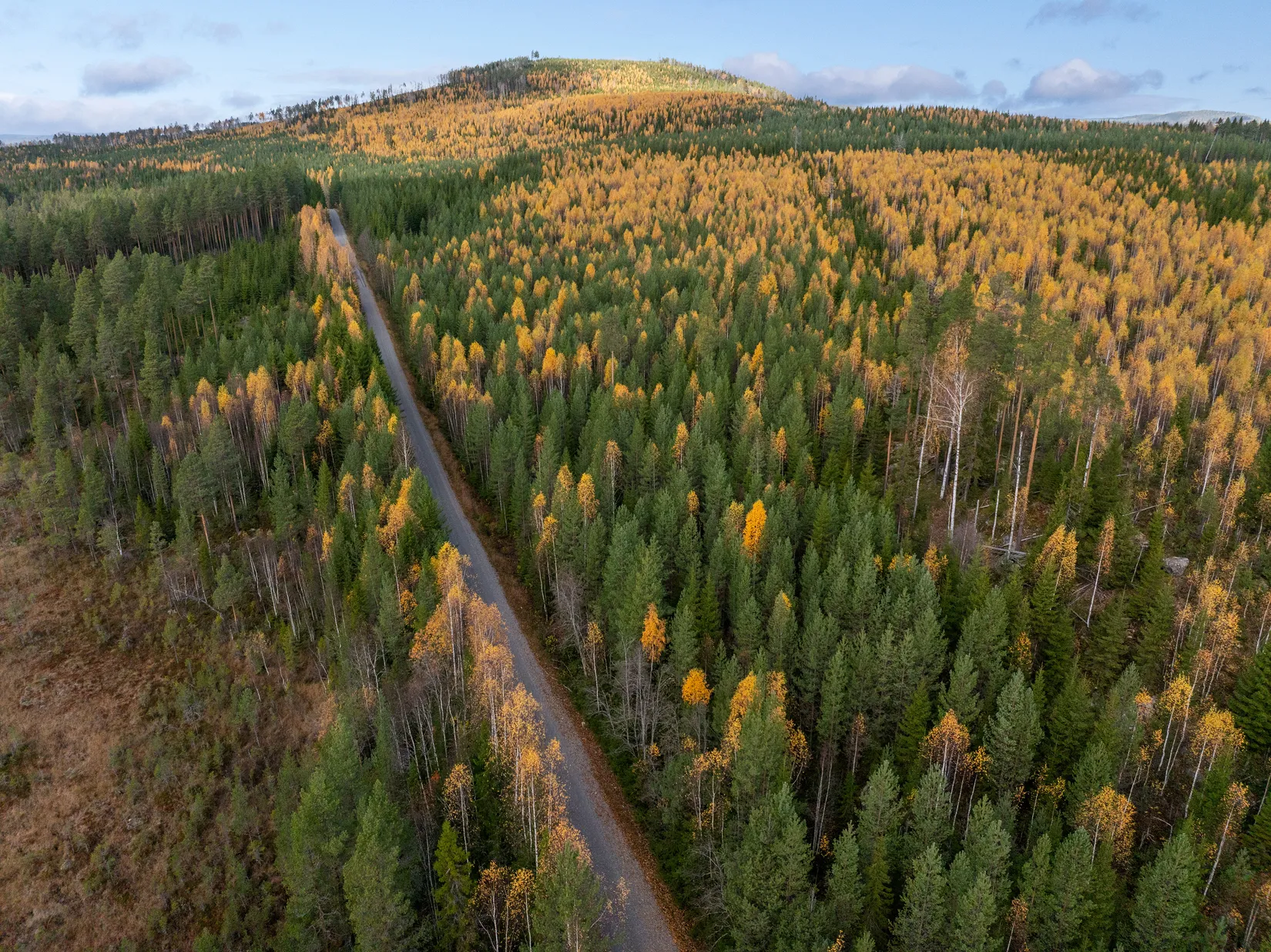 Gård/Skog, Säter 189, Säter, Ånge