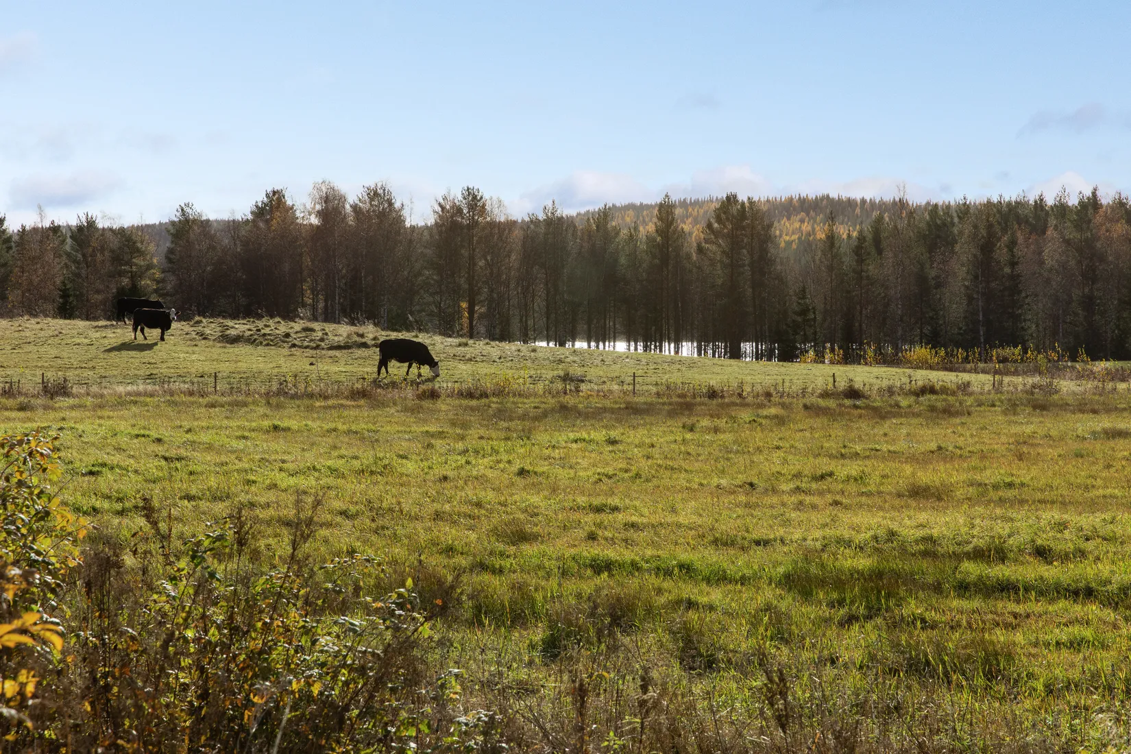 Gård/Skog, Säter 189, Säter, Ånge