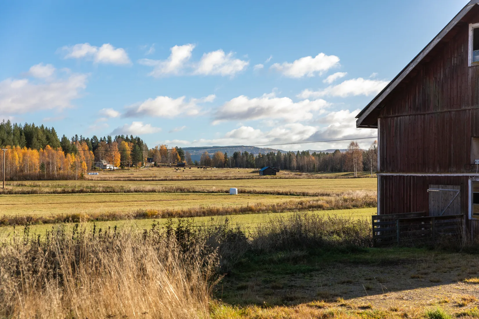 Gård/Skog, Säter 189, Säter, Ånge