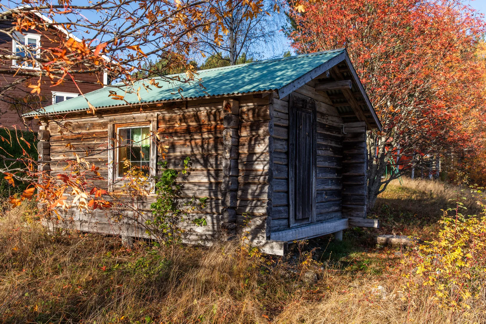 Gård/Skog, Säter 189, Säter, Ånge