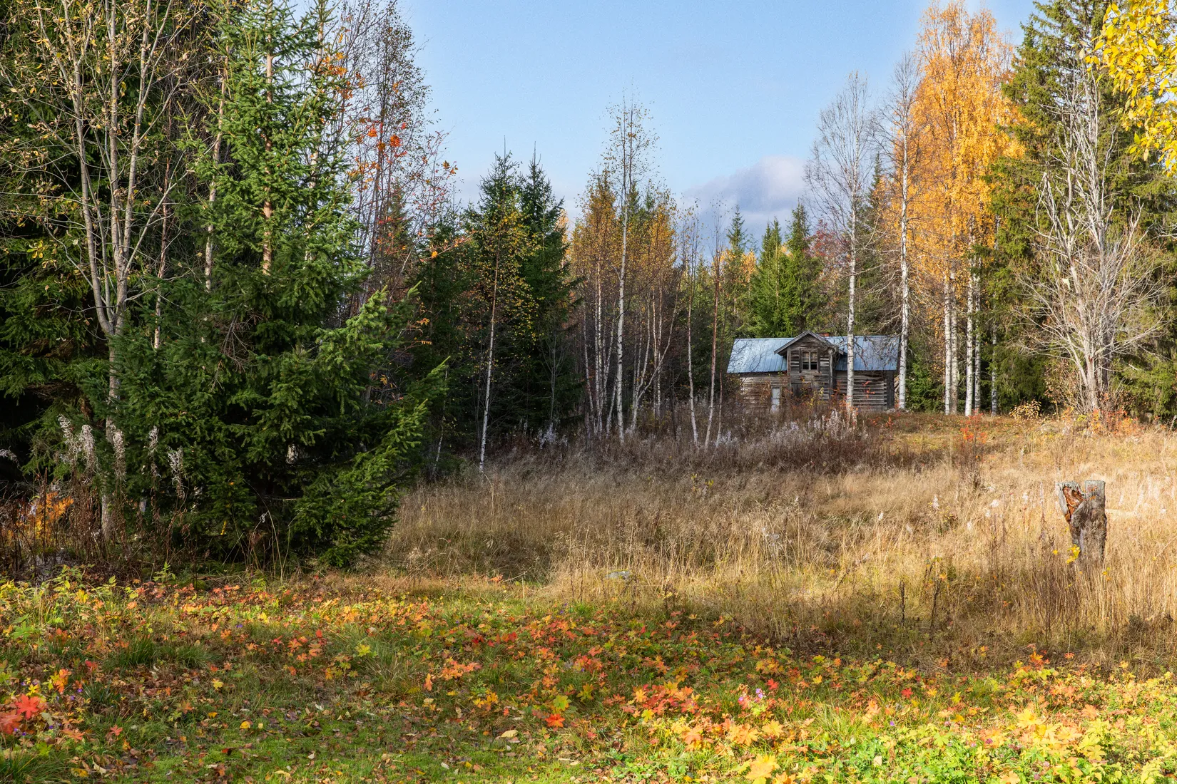 Gård/Skog, Säter 189, Säter, Ånge