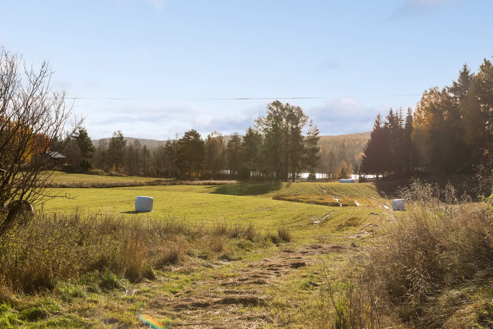 Gård/Skog, Säter 189, Säter, Ånge
