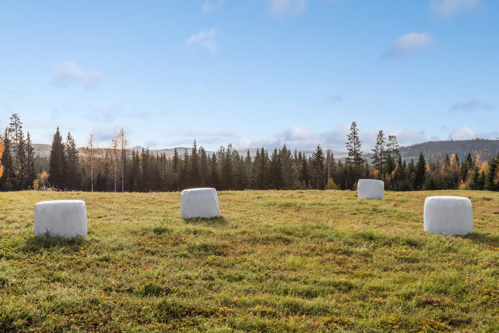 Gård/Skog, Säter 189, Säter, Ånge