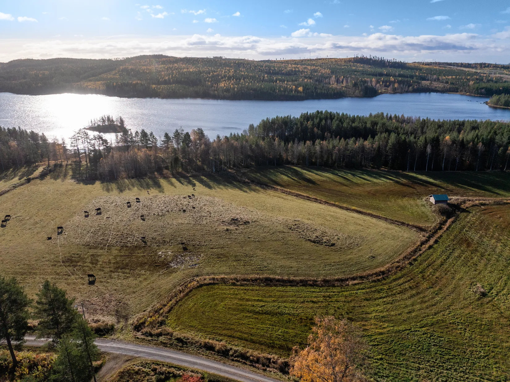 Gård/Skog, Säter 189, Säter, Ånge