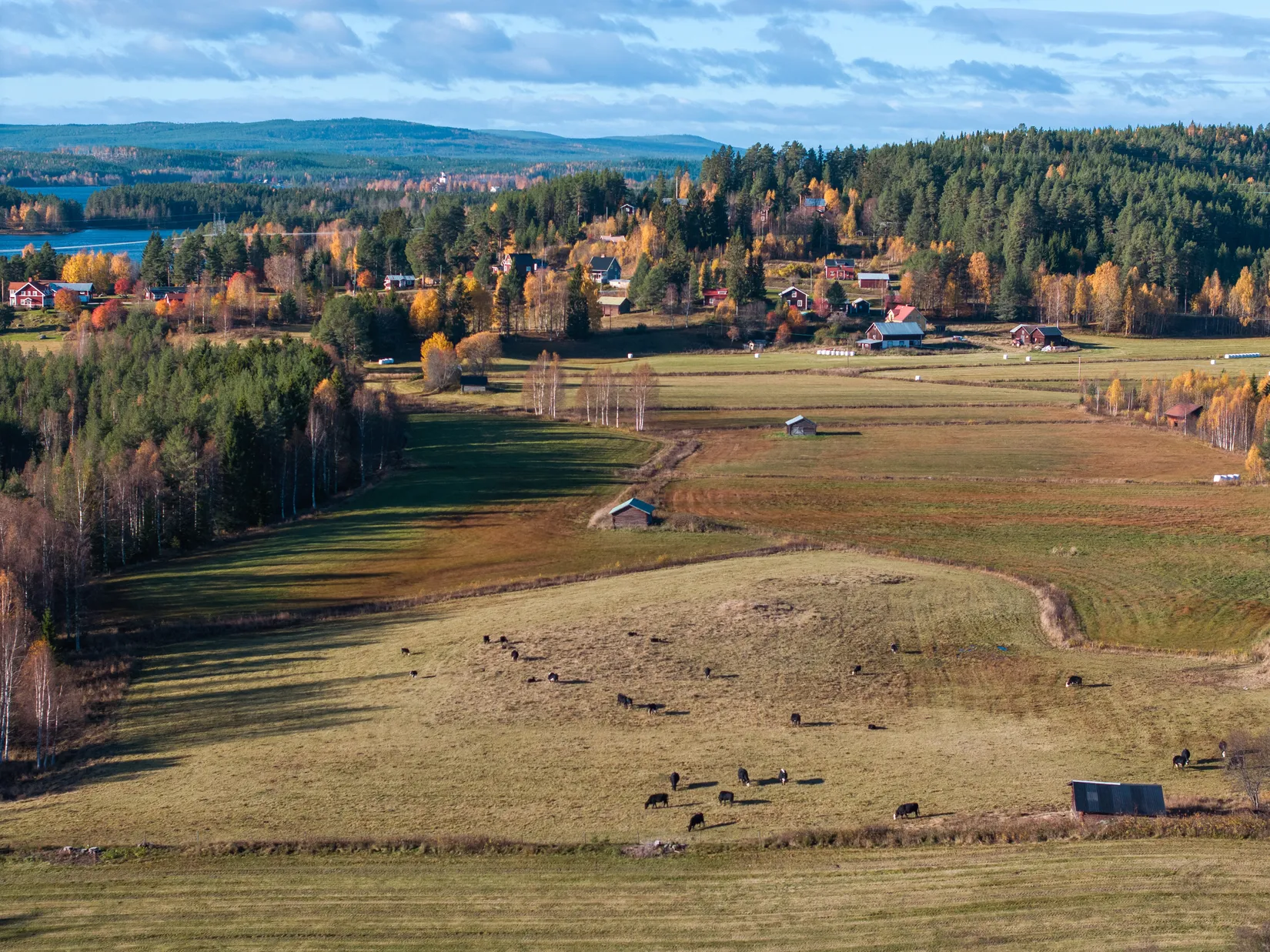 Gård/Skog, Säter 189, Säter, Ånge