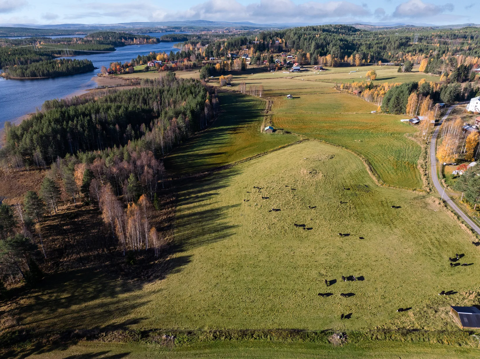 Gård/Skog, Säter 189, Säter, Ånge