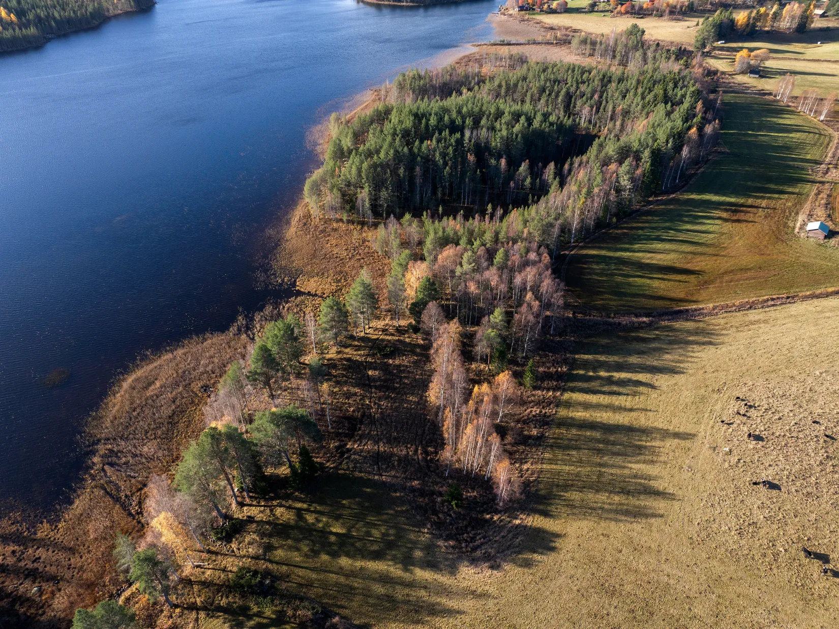 Gård/Skog, Säter 189, Säter, Ånge