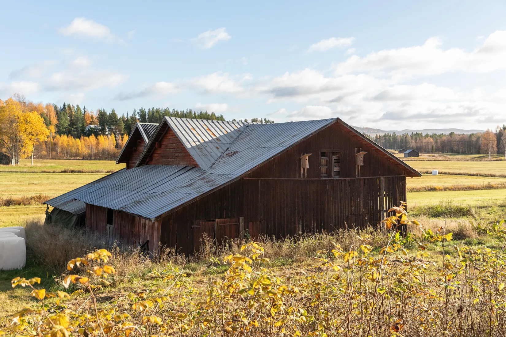 Gård/Skog, Säter 189, Säter, Ånge