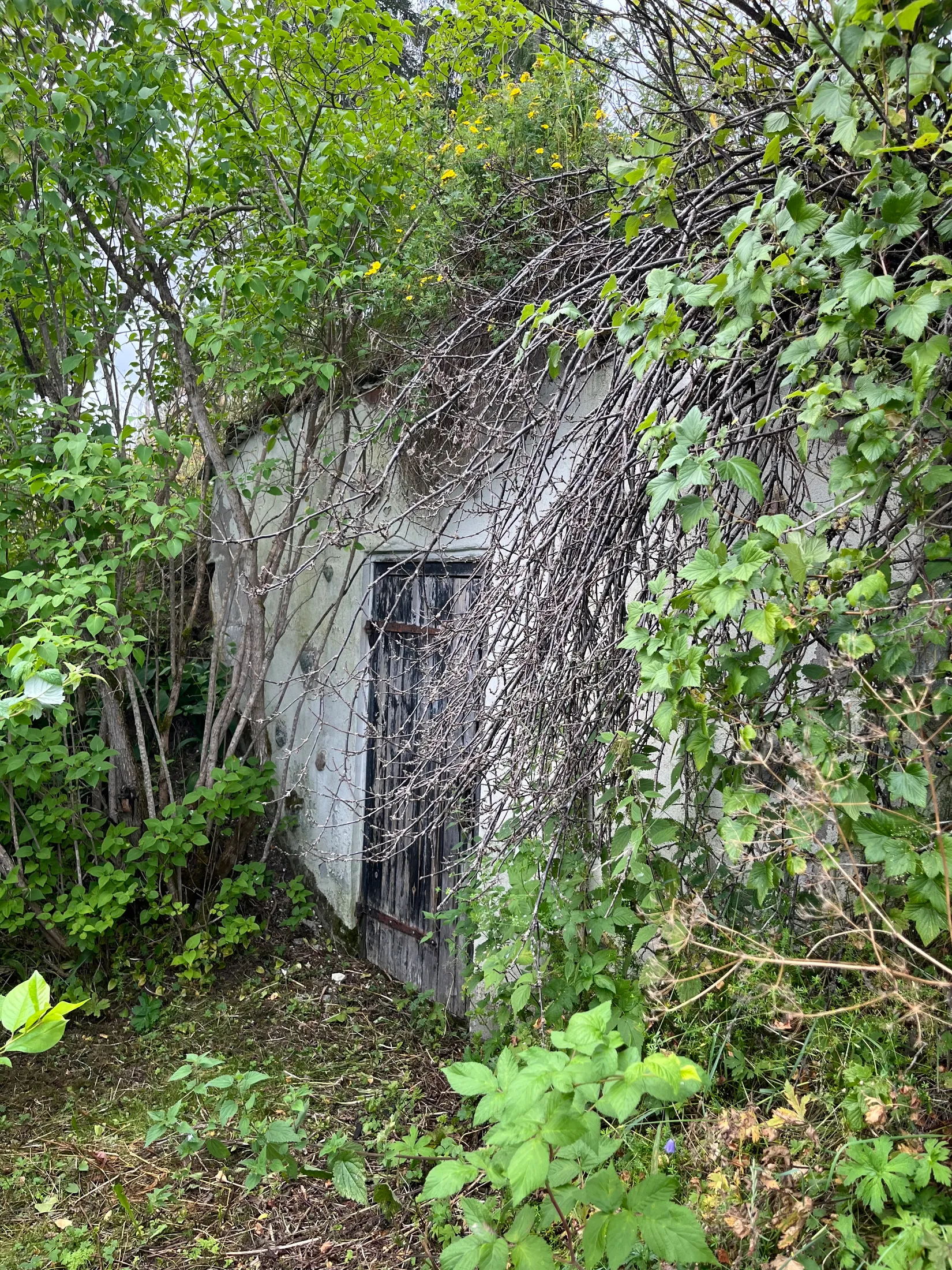 Gård/Skog, Säter 189, Säter, Ånge