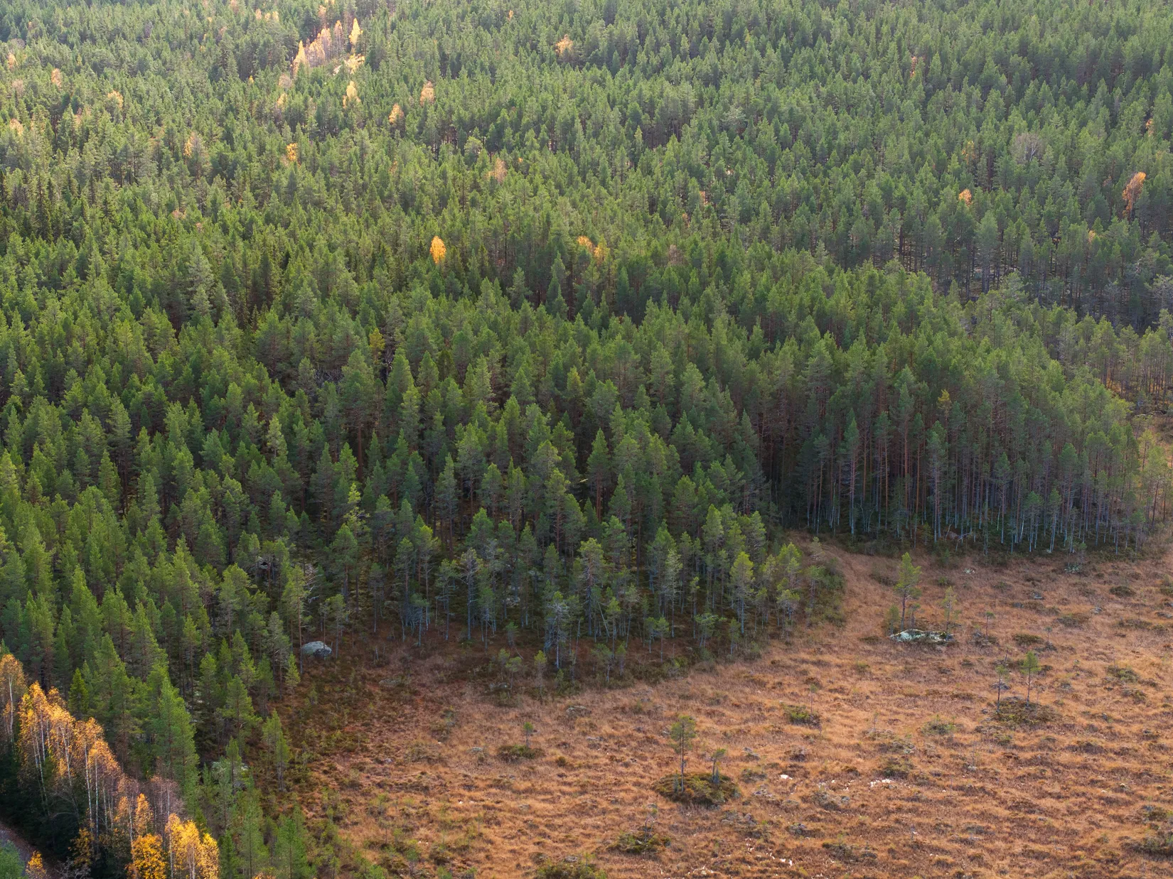Gård/Skog, Säter 189, Säter, Ånge