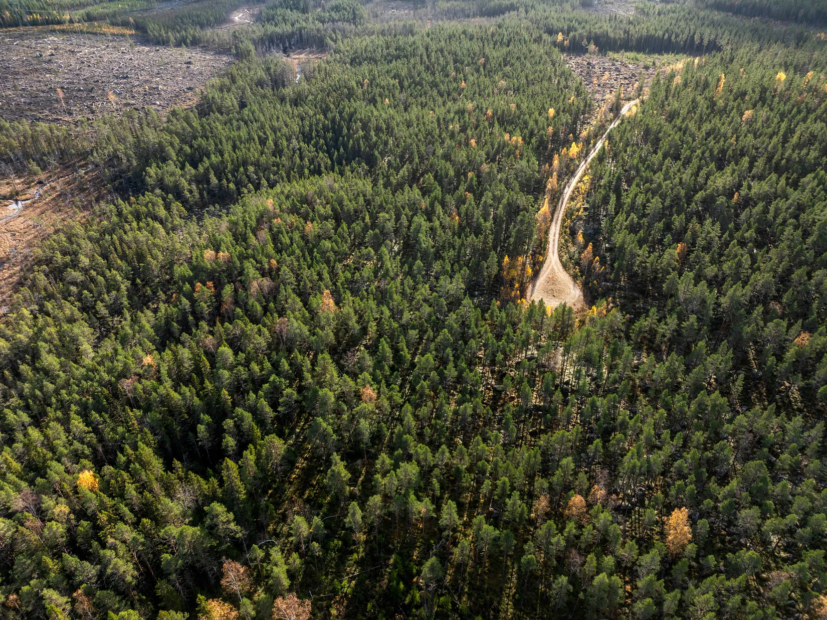 Gård/Skog, Säter 189, Säter, Ånge